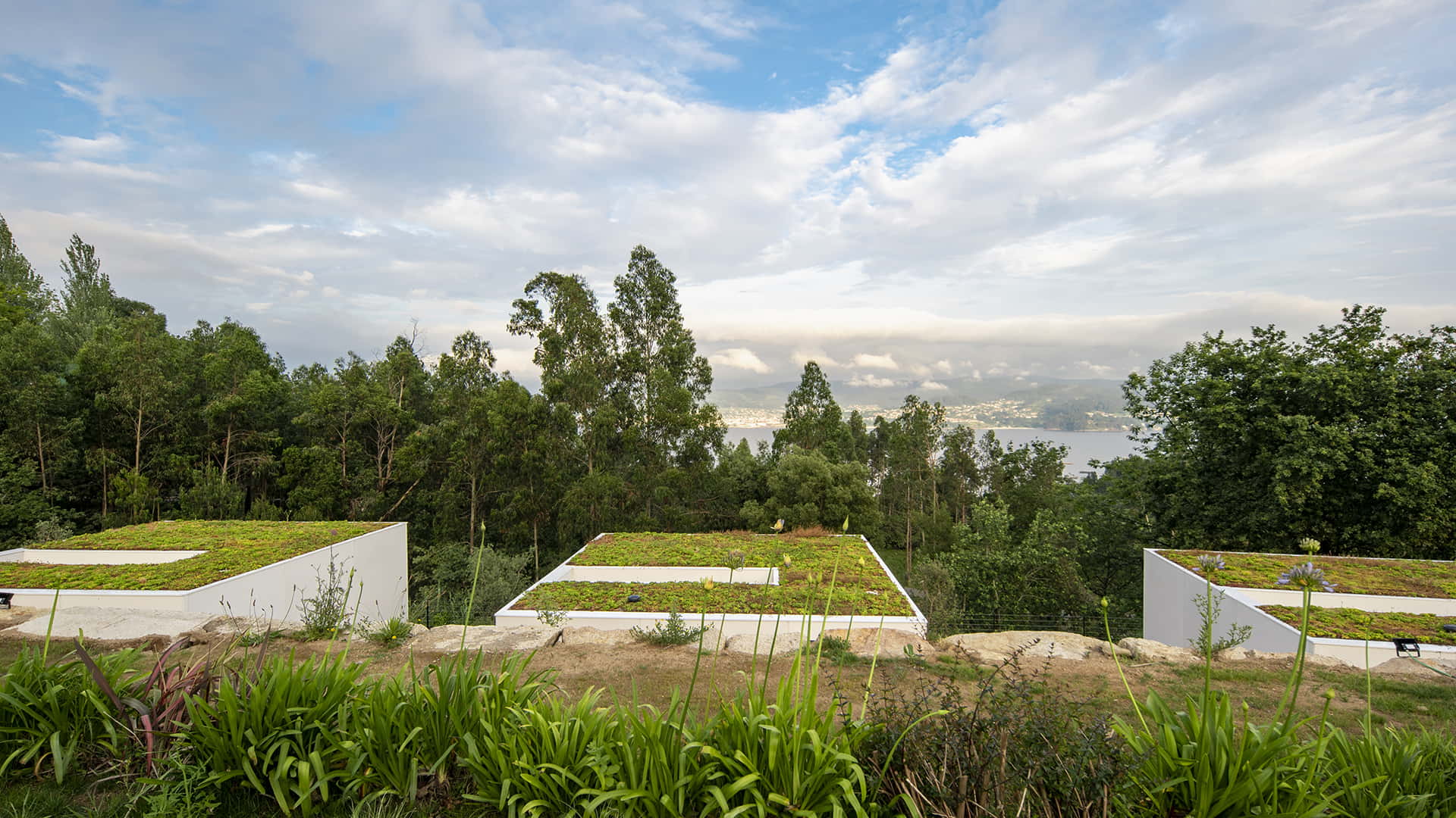 Alojamentos de hotel com continuidade com a natureza