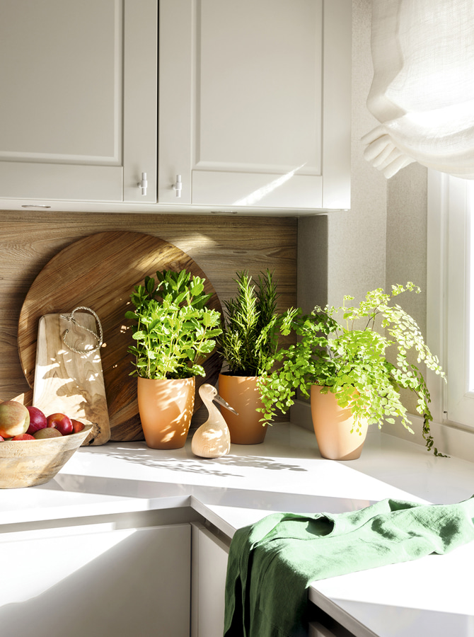 Decoración cocina Santos Sol Van Dorssen